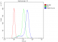 Anti-COMT Antibody Picoband™ (monoclonal, 15C10)